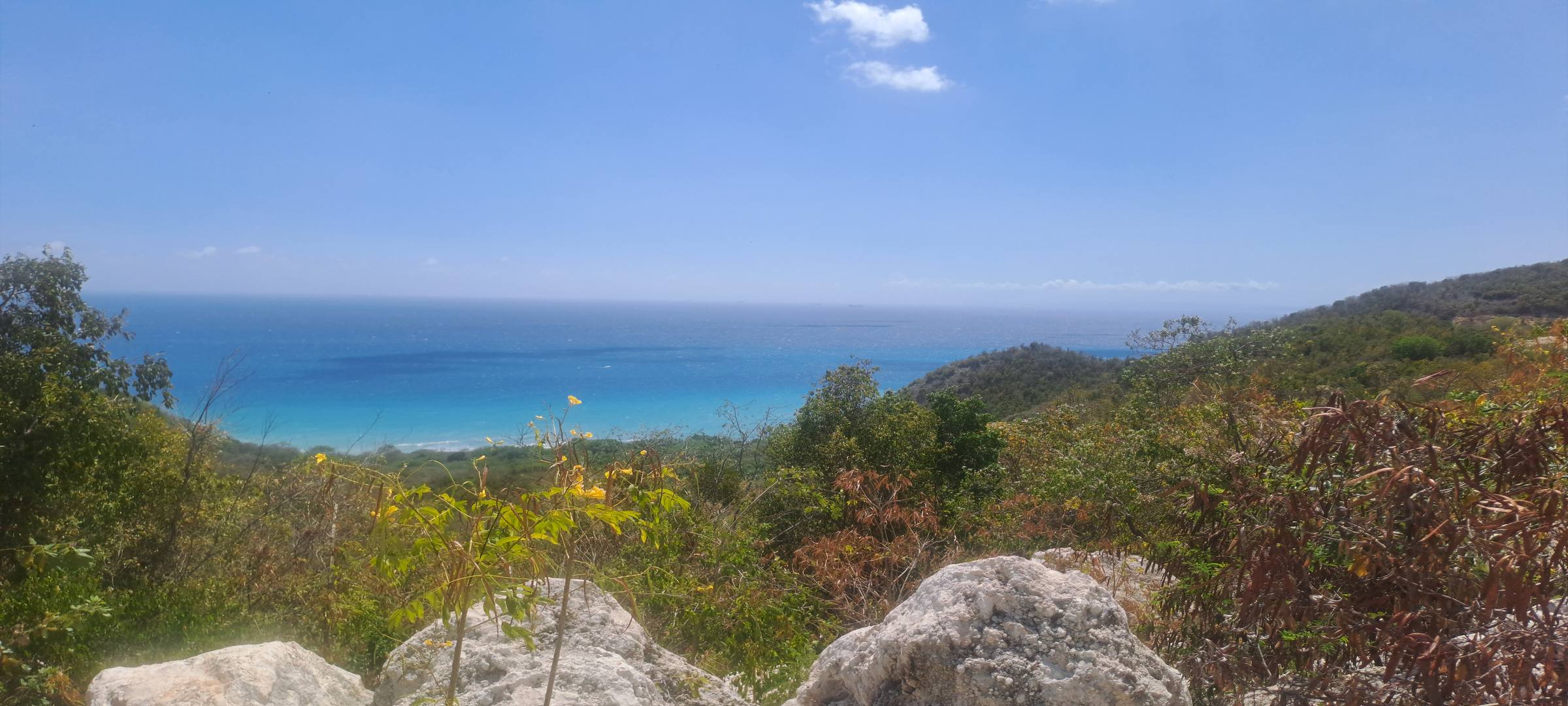 Jamaican coastline