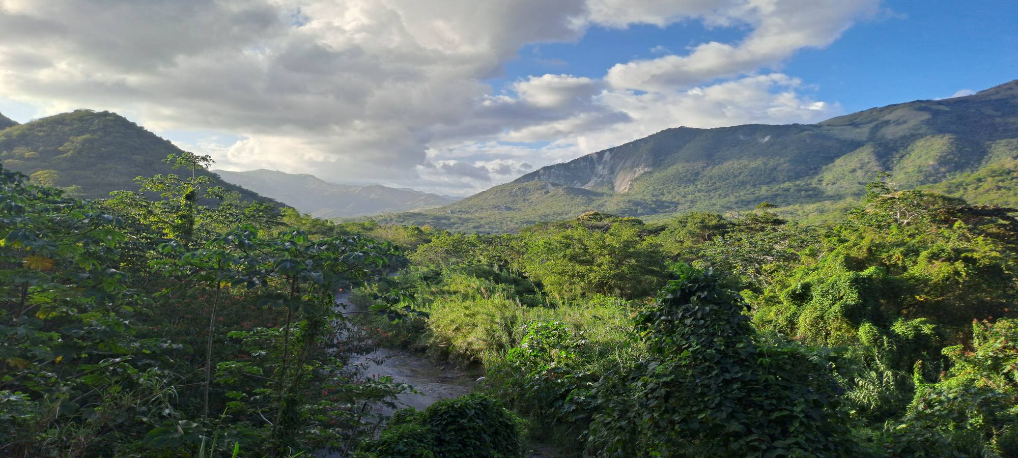 Jamaican valley